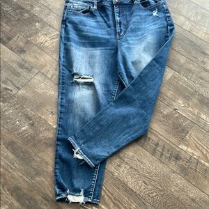 Willow and Root Distressed Blue Mom Jeans